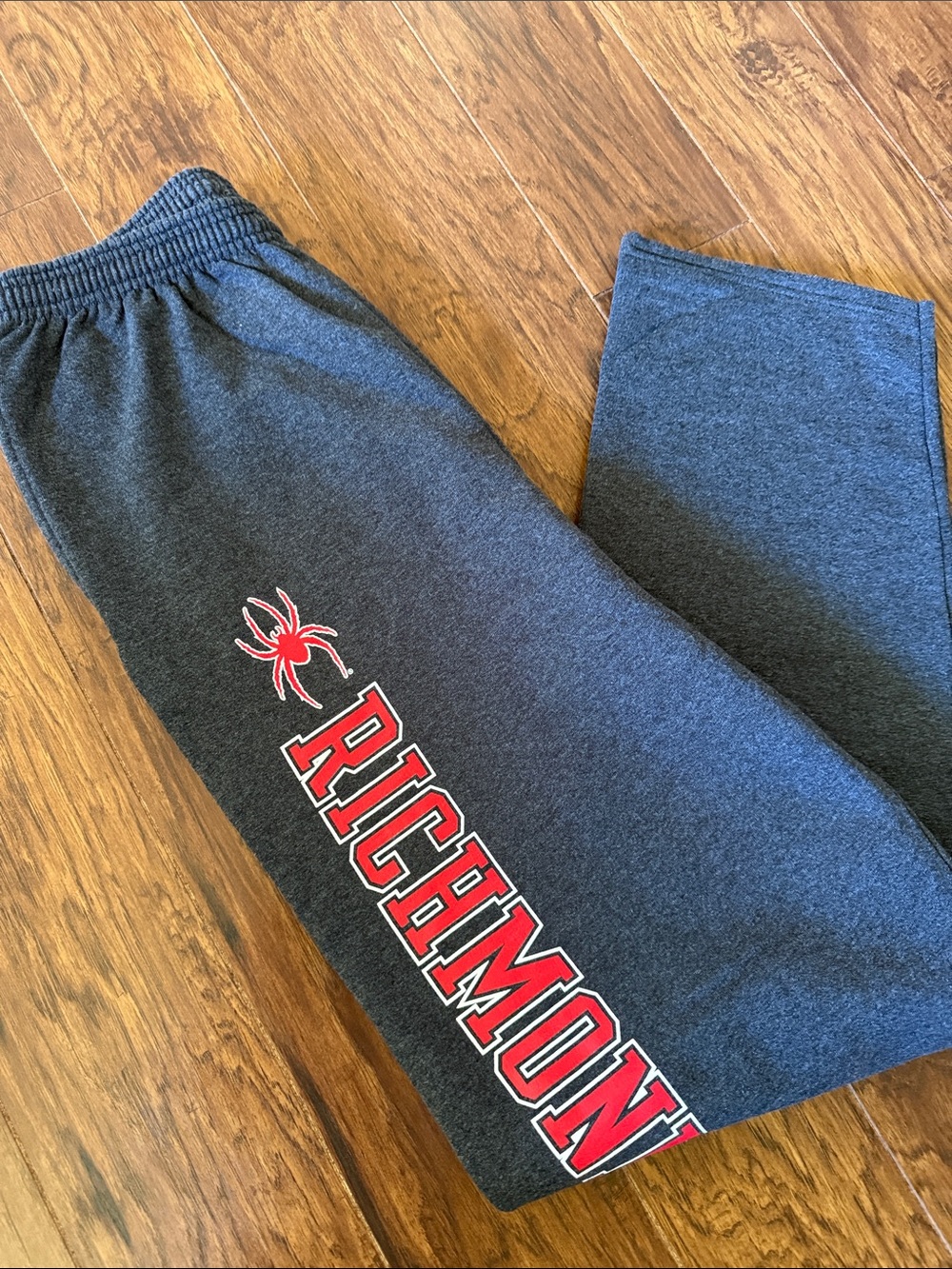 Men’s Champion Sweatpants - University of Richmond